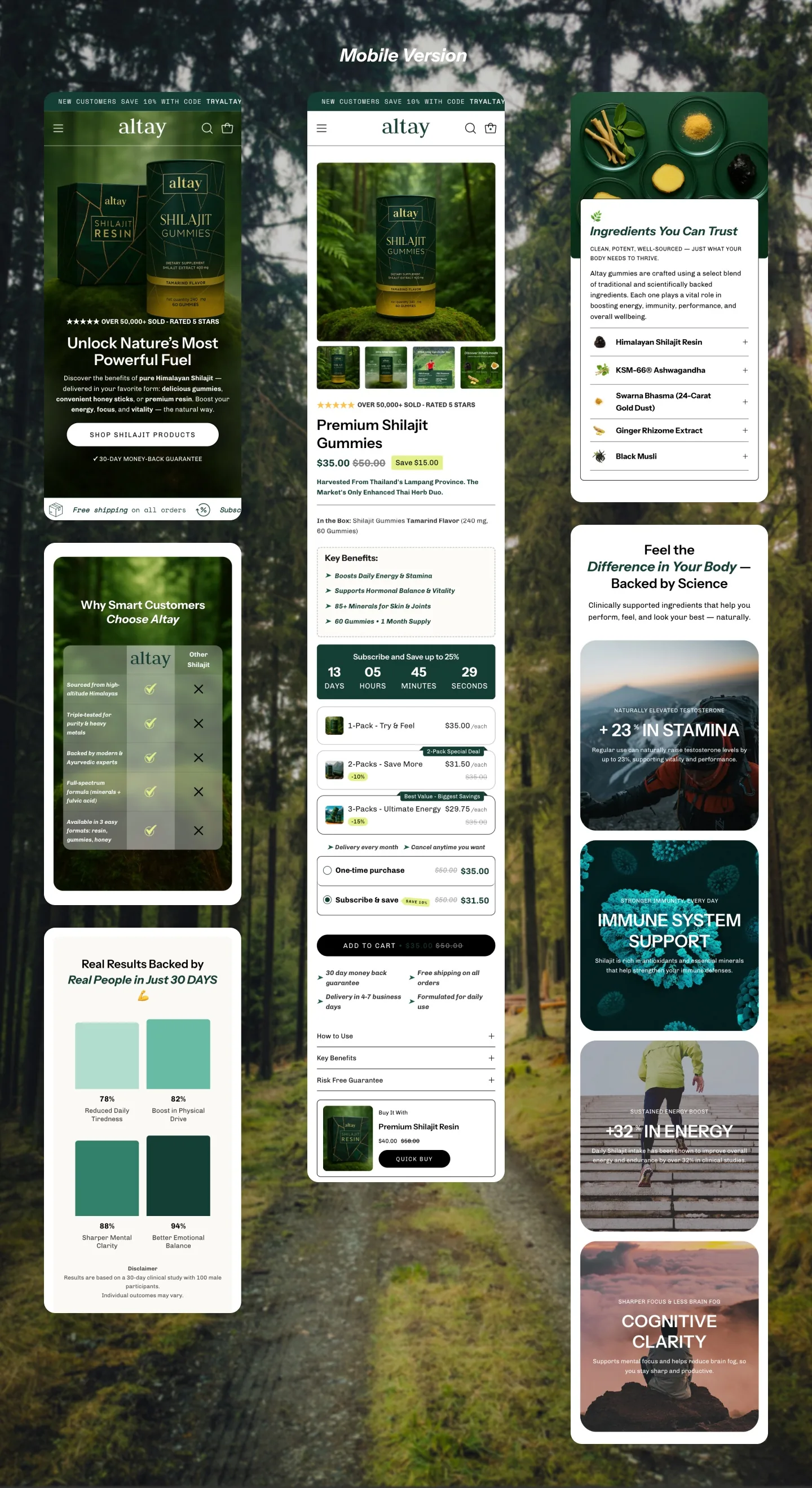 Altay project screen 13